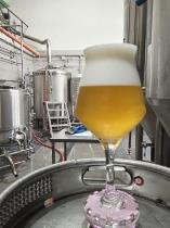 pivo Summer ALE 10°