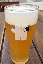 pivo Harry Chuck APA 12°