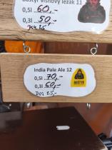 pivo Baštýř IPA 12°