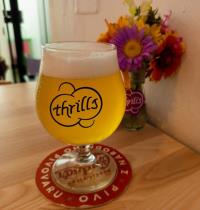 pivo Karel Nese Ajpiej 12°