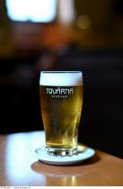 pivo Továrenská APA Chinook Centennial 12°