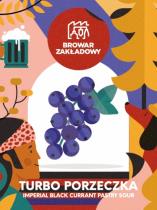 pivo Turbo Porzeczka - Pastry Sour 