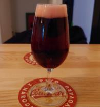 pivo Berry In Da Blanket - Sour 12°