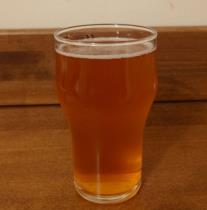 pivo Grandoo - Sour