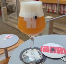 pivo Harry Martina NEIPA