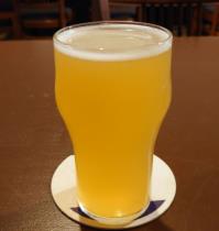 pivo Aliance P.I.V. Salt Mango - Gose