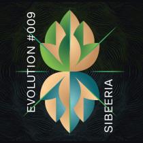 pivo Sibeeria Evolution #009 - Pale Ale 13°