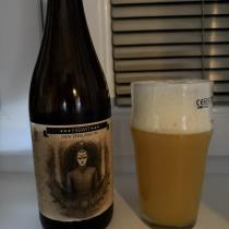 pivo Figwit NEIPA 14°