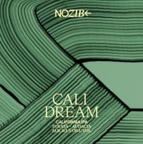 pivo CALI DREAM California IPA Strata + Audacia