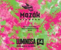 pivo Mazák Luminosa Modern IPA 14°