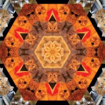 pivo Catleidoscope 6 - DIPA