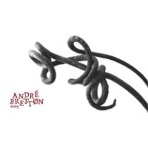 pivo Mazák André Bretton - Wild Ale 2023