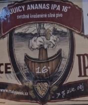 pivo Juice Ananas IPA 16°