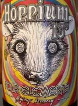 pivo Hoppium IPA 13°