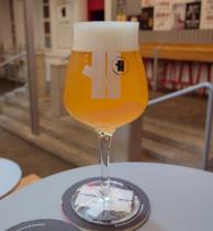 pivo Harry Preegl - New session IPA