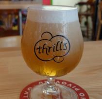 pivo Freezin - Cold IPA 