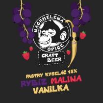 pivo Pastry kyseláč 15° (malina+rybíz+vanilka)