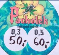 pivo Pacholek - Světlé výčepní 