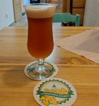 pivo Amálka IPA - Session IPA 11°