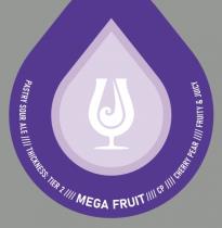 pivo Mega Fruit - GS Guava Strawberry