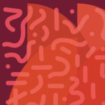 pivo Affinité - Foam IPA