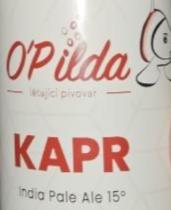 pivo Kapr - IPA 15°