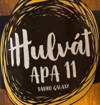 pivo Hulvát APA Sabro+Galaxy 11°