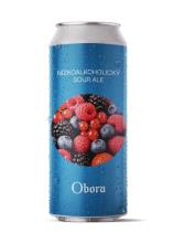 pivo Nízkoalkoholický Sour Ale (Forest fruit) 5°
