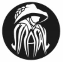 pivo Svetlý Ležák 12°