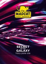 pivo Secret of the Galaxy - Hazy Pale Ale