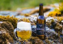 pivo Rohaj - Svetlý ležák 11°