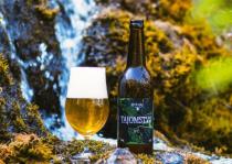 pivo Tajomstvo - IPL 14°