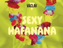 pivo Sexy Hafanana 17° 