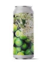 pivo Philadelphia Sour - Elderflower & Lime 12°