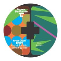 pivo Green Cloud - NEIPA 16°