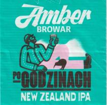 pivo Po Godzinach New Zealand IPA 12°