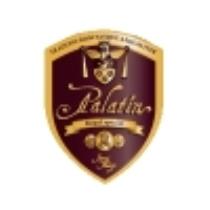 pivo Palatín - svetlé silné 13