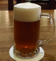 pivo Polotmavá 11°