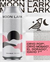 pivo Triangle - Double IPA