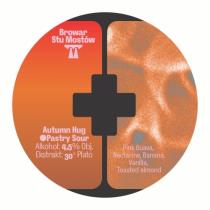 pivo Autumn Hug - Pastry Sour 30°