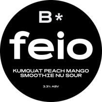 pivo FEIO - Sour