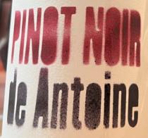 pivo Pinot Noir De Antoine - Farmhouse Ale