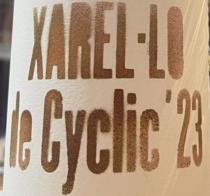 pivo Xarel•lo De Cyclic 23 - Sour 
