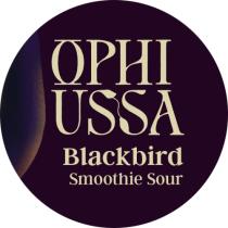 pivo Blackbird - Sour