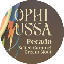 pivo Pecado - Stout