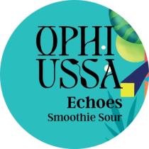 pivo Echoes - Sour