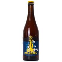 pivo Mr. Kotel 11°