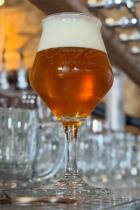 pivo PetrIPA 14