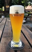 pivo Vorkloster Weizenbier 12°