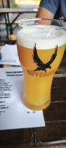pivo Raven Buzz 2 12°